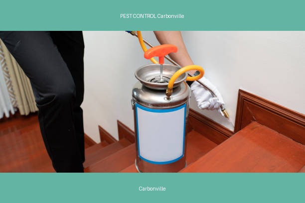 PEST CONTROL Carbonville